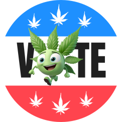 Vote Buddy 2024 Election Sticker